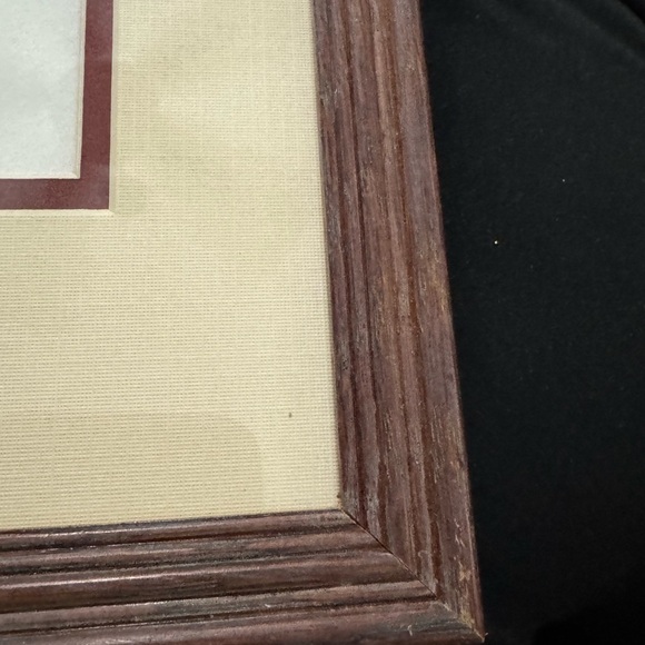 Vintage Framed Botanical Ink Pen Illustration Milk Thistle & Leaves MCM Unique - Picture 2 of 10